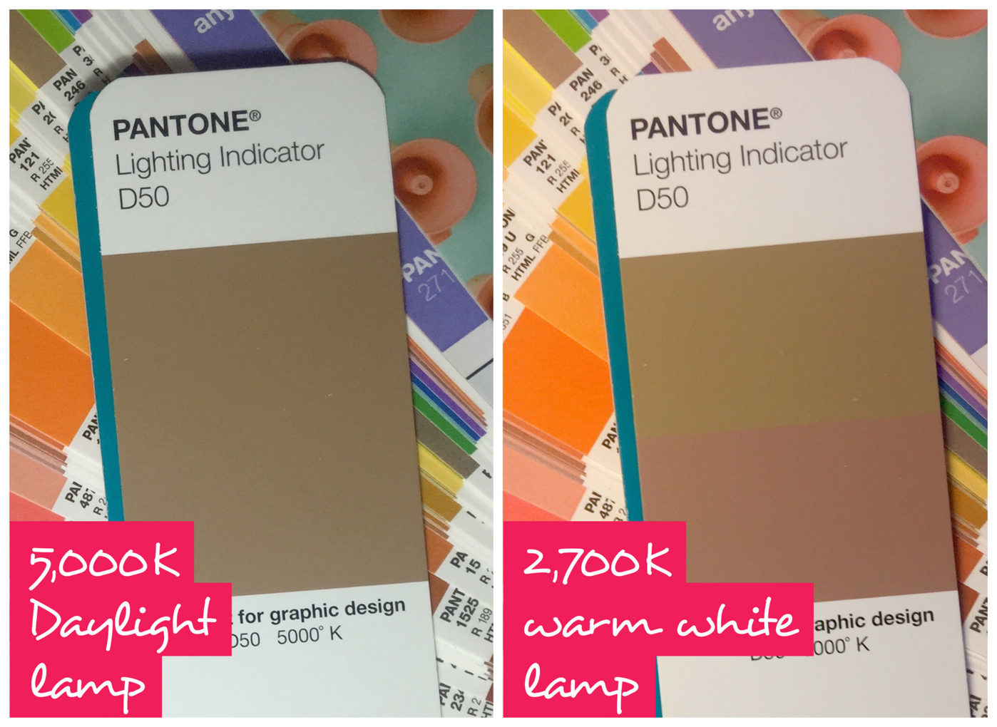 Pantone D50 light indicator under both daylight and warm light conditions